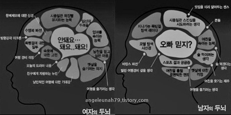 남녀탐구 26.재미로 보는 띠별 궁합 10탄(닭띠 남자와 사귀는 여자의 궁합)