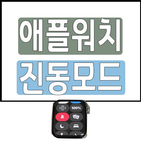 애플워치 진동모드 - 버블프라이스 IT세상