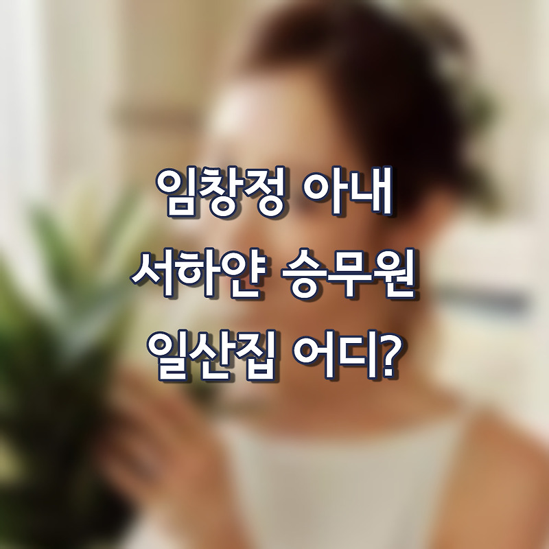 임창정 일산집 가격 아내 서하얀 승무원 인스타 직업  부인 키 대한항공