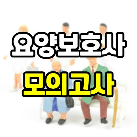 프로그래머 삶 - 티스토리