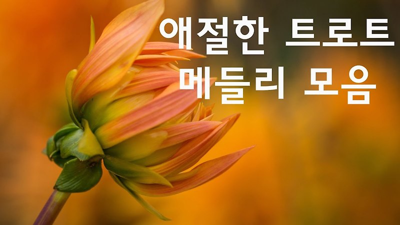 K-트롯 최근 게시물(4월8일기준)