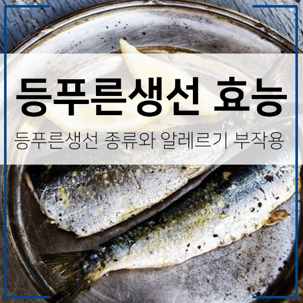 등푸른 생선 종류와 효능 | 생선 알레르기 | 혈행 개선 식재료