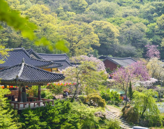 충남 서산 여행 가이드 : 자연과 역사 그리고 맛의 조화!