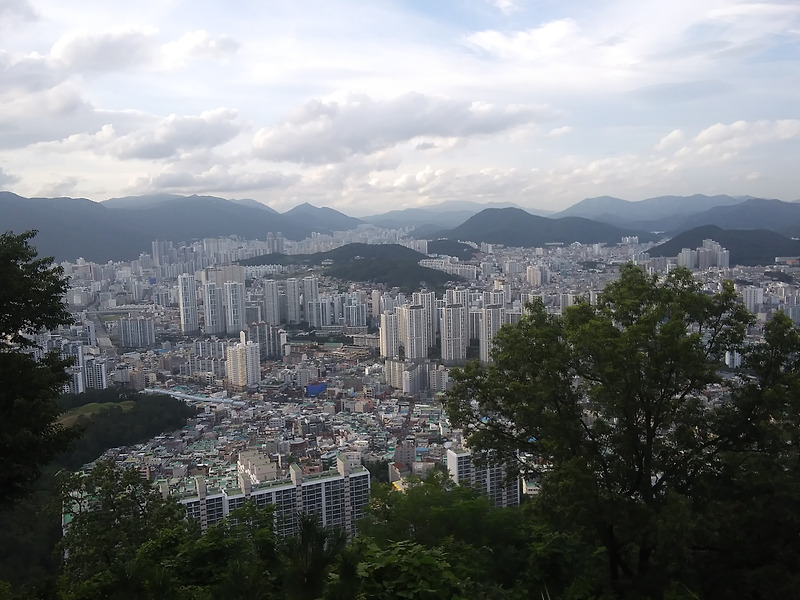 배산 산행.
