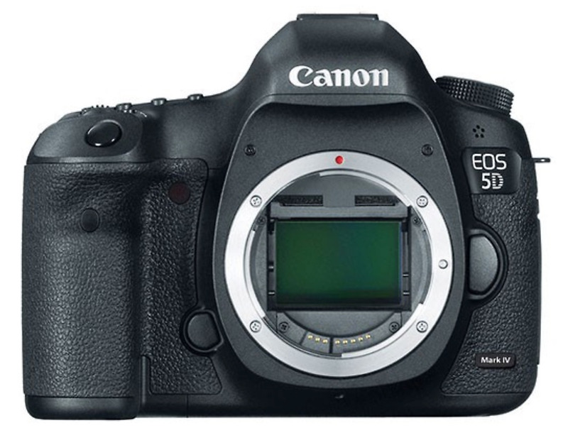 캐논 5D Mark V와 Canon EOS R Mark II 동시에 개발중 cr2