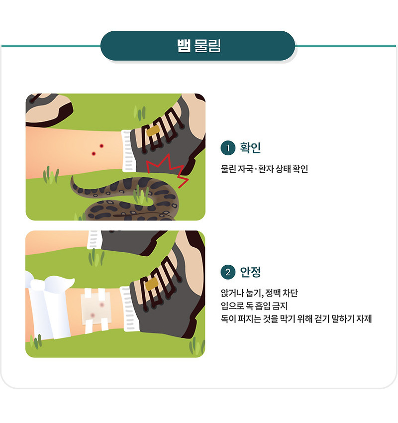 뱀 물림