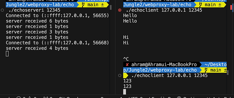 [TIL][정글] Echo Server 만들기