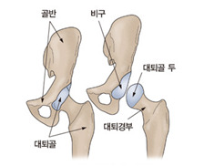 NANDA 간호진단 , 간호학과과제 공유, 간호사이야기, 간호학과 컨퍼런스 자료