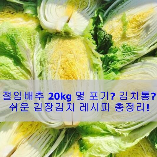 절임배추 20Kg 몇 포기? 김치통? 김장김치 쉽게 담그는 레시피 총정리!