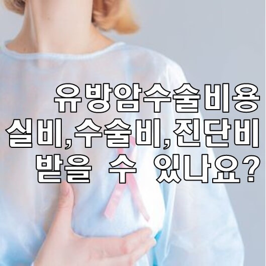 유방암 수술비용 실비시간에 대하여 4