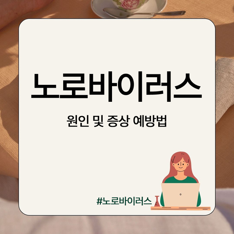 노로바이러스 장염 증상 및 원인 치료법과 예방법까지 정리