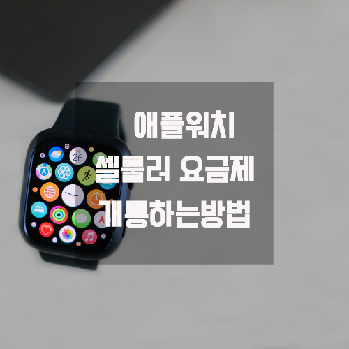애플워치 셀룰러요금제 셀프개통 (Skt무료요금제사용)