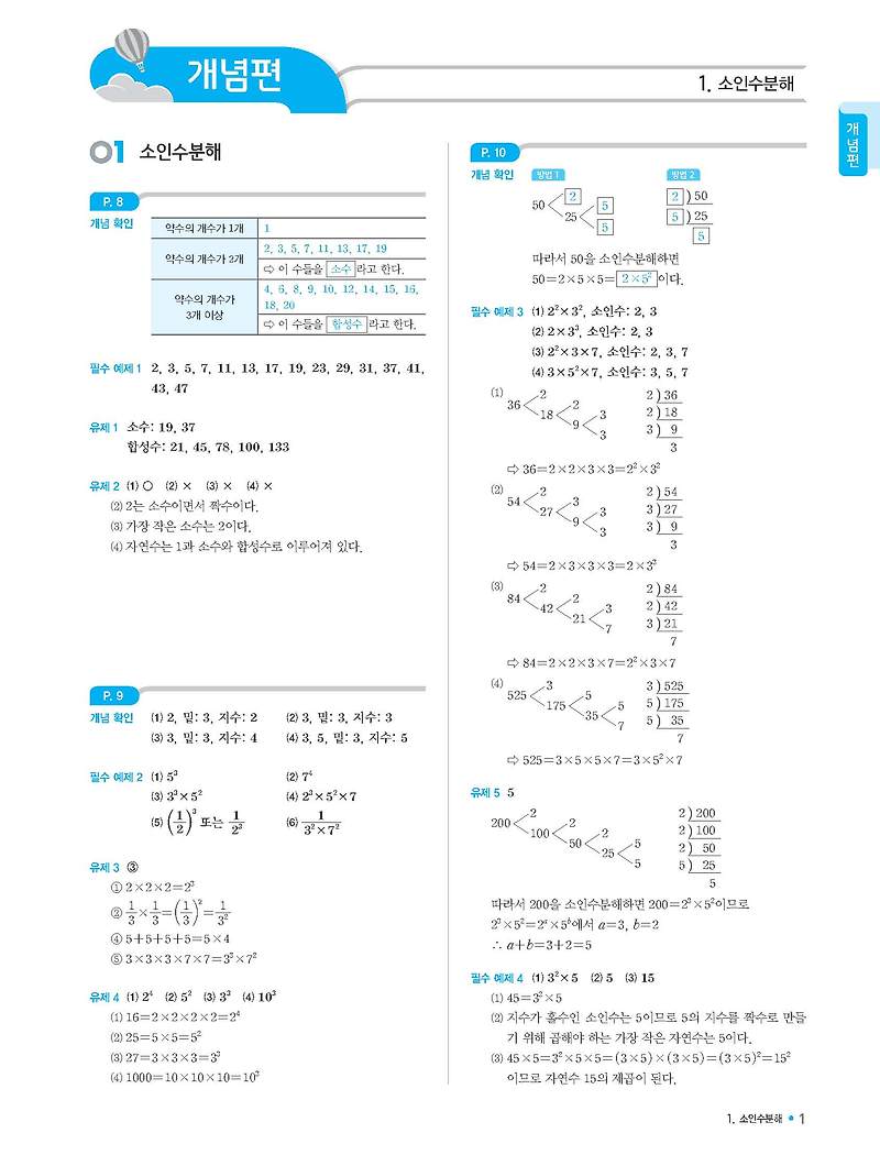 비상 개념플러스유형 개뿔 라이트 1-1 답지 모바일최적화 사진답지 해설지 :: 답지블로그