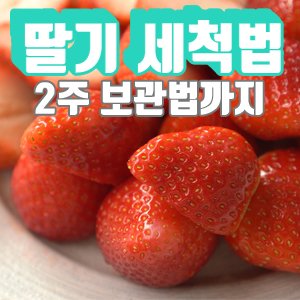 딸기 씻는법 1분 이상 씻으면 비타민이 없어지는 이유 (ft.보관법) :: 백년밥상TV