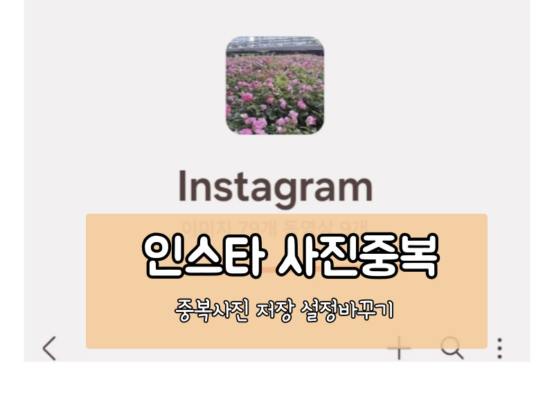 인스타그램 사진이 갤러리에 중복 저장될 때 해결 방법 (최신 갤럭시 기준)