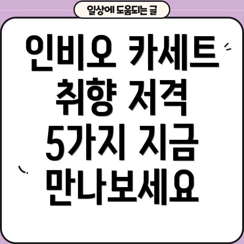 인비오 invio 카세트 당신의 취향에 딱 맞는 5가지 선택