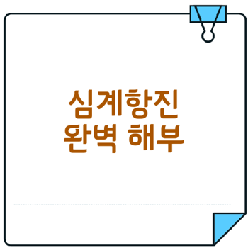 심계항진의 원인과 해결책은 무엇일까