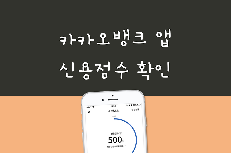 휴대폰과 카카오뱅크에서 무료로 신용등급 조회하는 방법(+신용등급표) 6