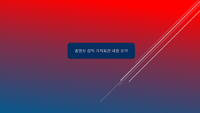 홍명보 감독 기자회견 내용 요약 / 홍명보 인터뷰 / 홍명보 심경고백