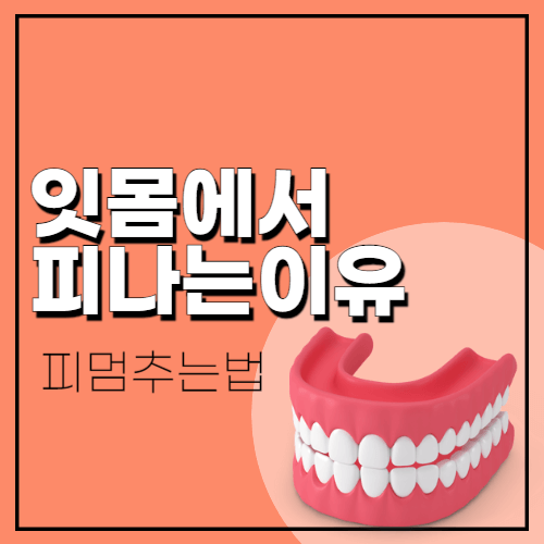 잇몸에서 피가 나는 이유 피 멈추는 법