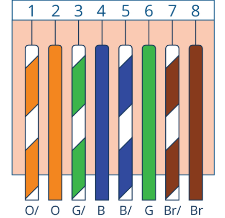 Network