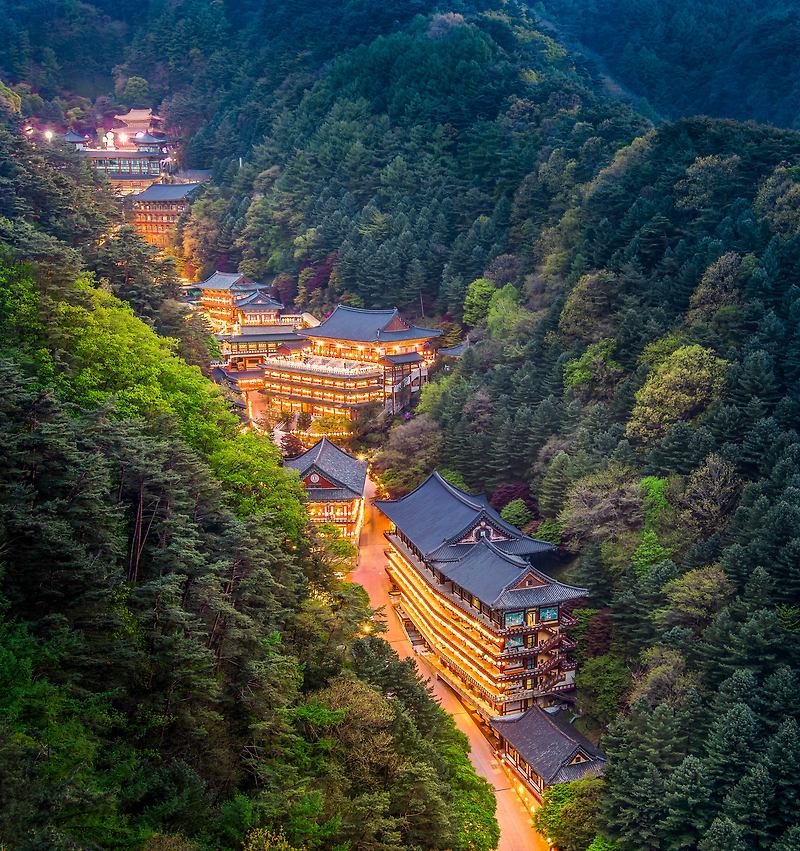 구인사 야경