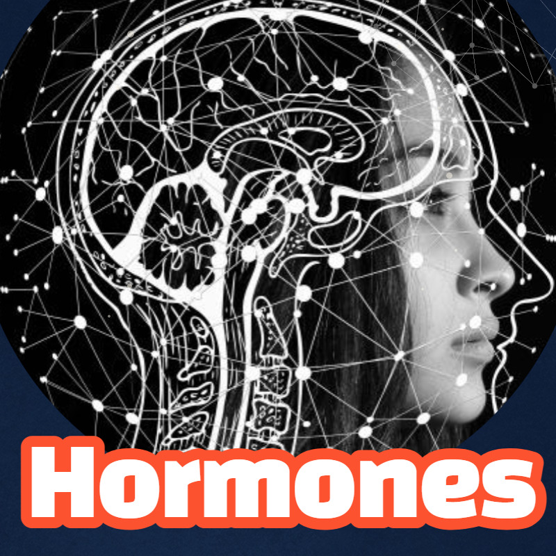 hormones-smartdpt