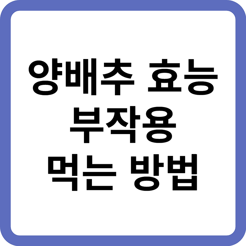 양배추 효능 부작용 맛있게 먹는 방법 세척방법 보관방법