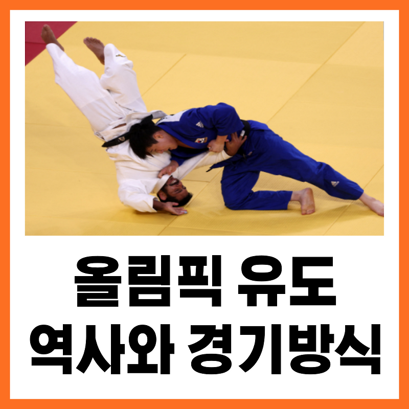 올림픽 유도 역사와 규칙, 득점 방식