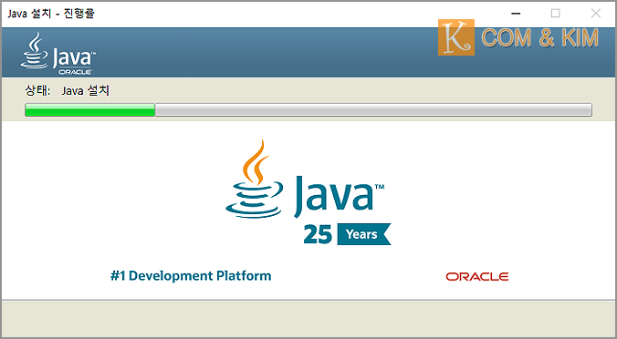 자바 스크립트 런타임(Java Runtime) 설치하기