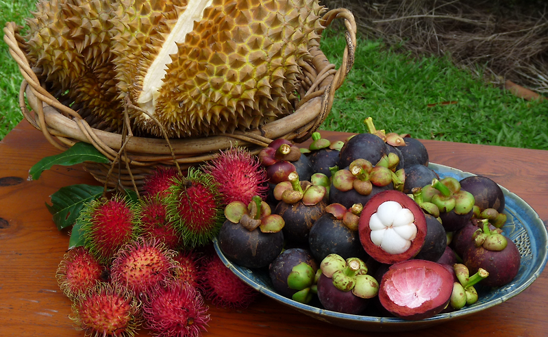 Benefits and Side Effects of Superfood Mangosteen