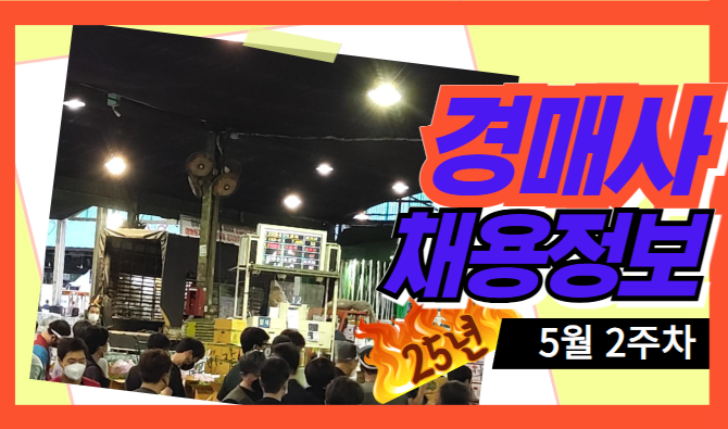 휴일이 많지만, 경매사 취업 기회도 많습니다! [25년 5월 2주차]