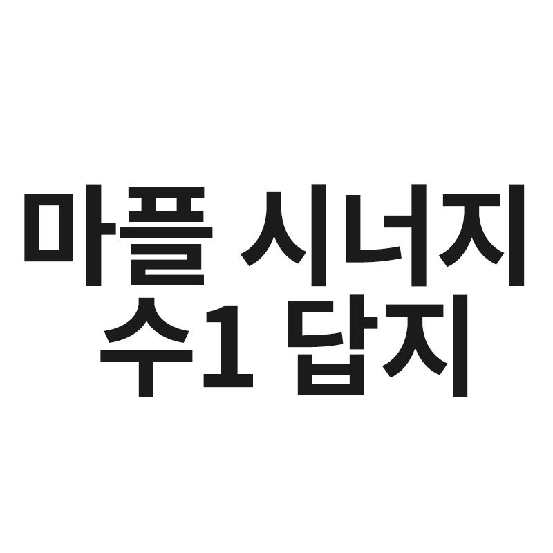 마플 시너지 수1 답지를 알려드립니다 - 20초전