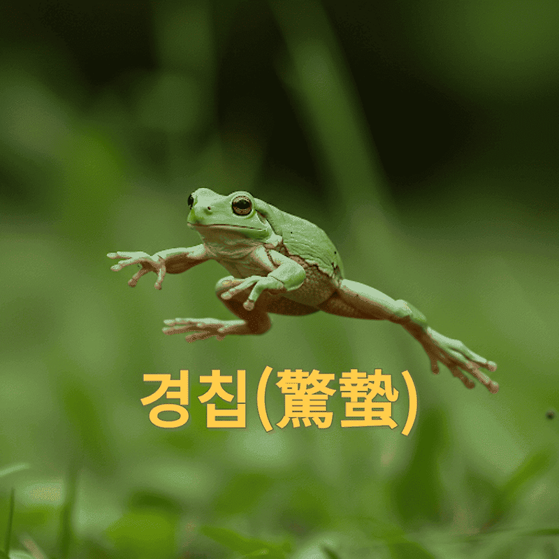 🐸 만물이 깨어나는 소리! 경칩 완벽 해부 : 의미, 풍습, 제철 음식으로 봄을 맞이하세요