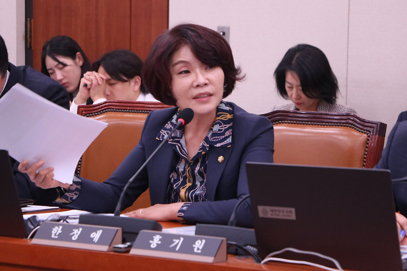 [한정애 <b>국회의원</b>] 국회외교통일위원회 종합감사 – 외교부... 