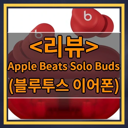 Apple Beats Solo Buds 추천