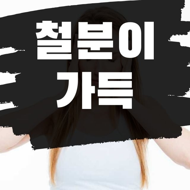 철분 많은 음식 꿀맛