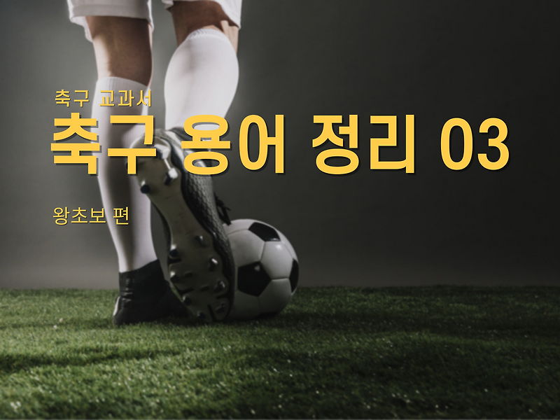 축구 용어 정리 03 (프리킥, 반칙, 페널티킥 등)