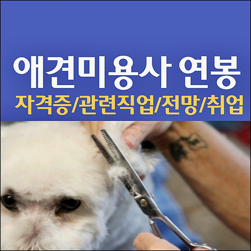 애견미용사 연봉 및 자격증 정보 핵심정리