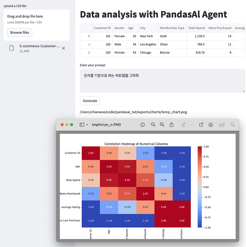 Pandas AI | 판다스AI with LLM Agent, OpenAI, MySQL