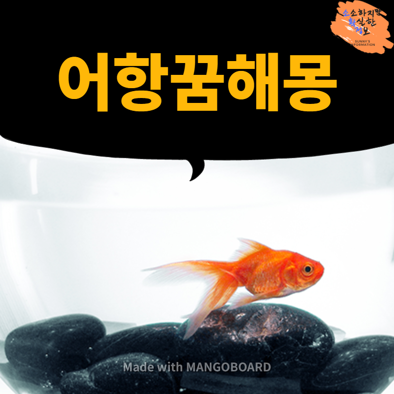 어항꿈 꾸셨으면 해몽 확인하고 가세요