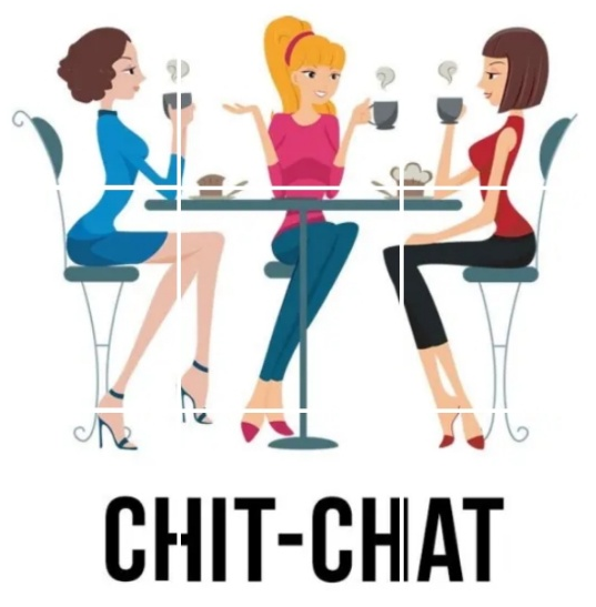 chit-chat-margin-class-8-english-4-2-p-v-sindhu-chit-chat-pv