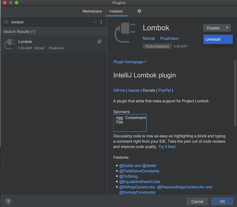 install lombok intellij