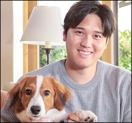 <b>오타니</b> 쇼헤이 반려견 '데코핀' 노기자카46 오타!?