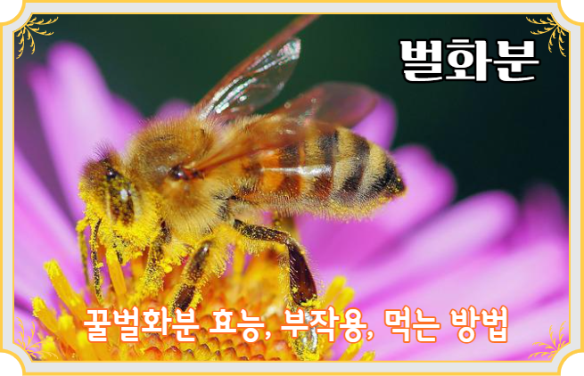 벌화분의 효능엔 뭐가 있을까