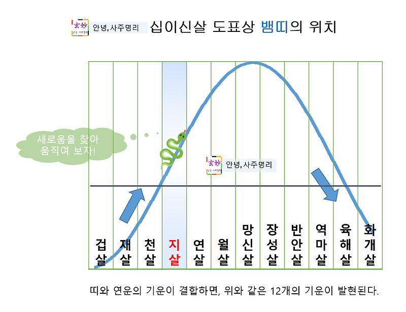 2021년 신축년 뱀띠 운세