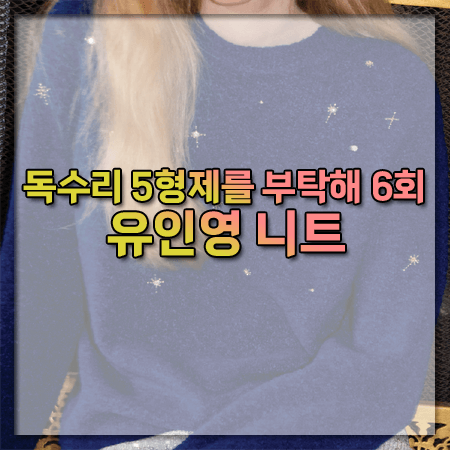 독수리 5형제를 부탁해 6회 유인영 니트 ~ 뮤제드 별자수 니트 풀오버 @지옥분 패션