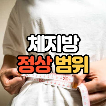 체지방률 정상범위, 매력적인 몸매 수치는?