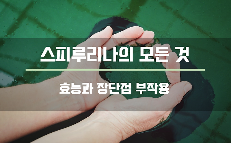 스피루리나 부작용 효능