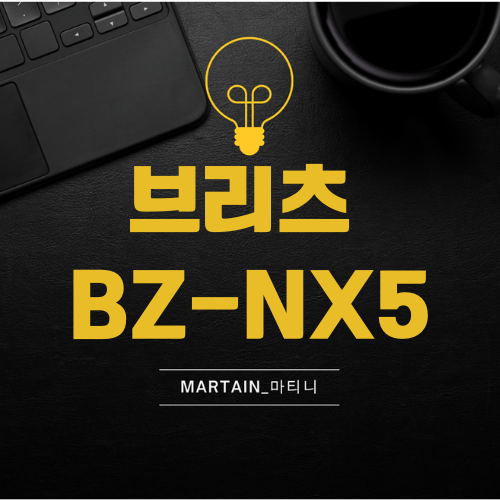 가성비 좋은 블루투스 이어폰 찾으세요? 브리츠 BZ-NX5 추천